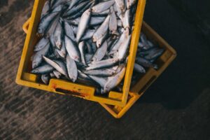 omega 3 wirkung