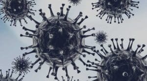 vitamine immunsystem