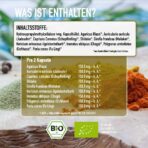 vitalpilze bio