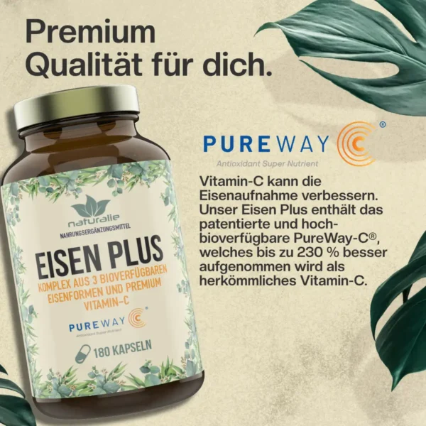 eisen mit vitamin-c