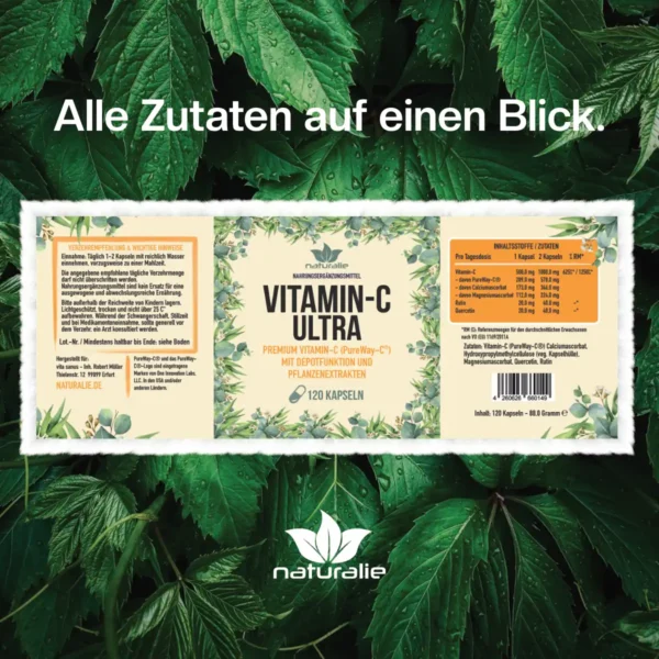 vitamin c kapseln inhaltsstoffe