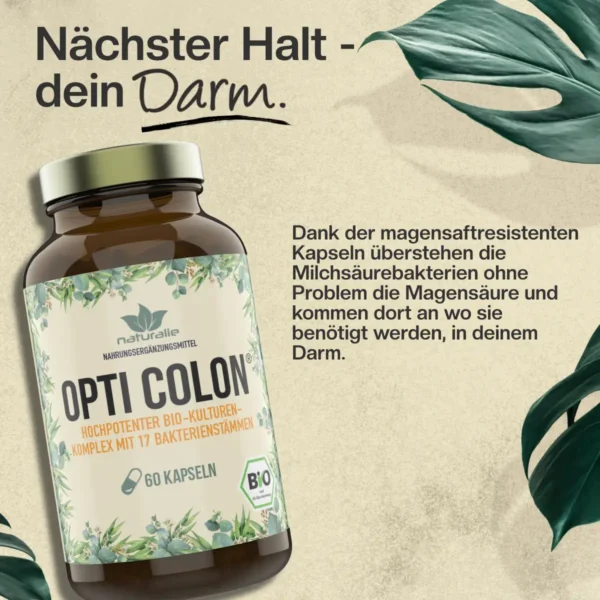 bio probiotika kapseln