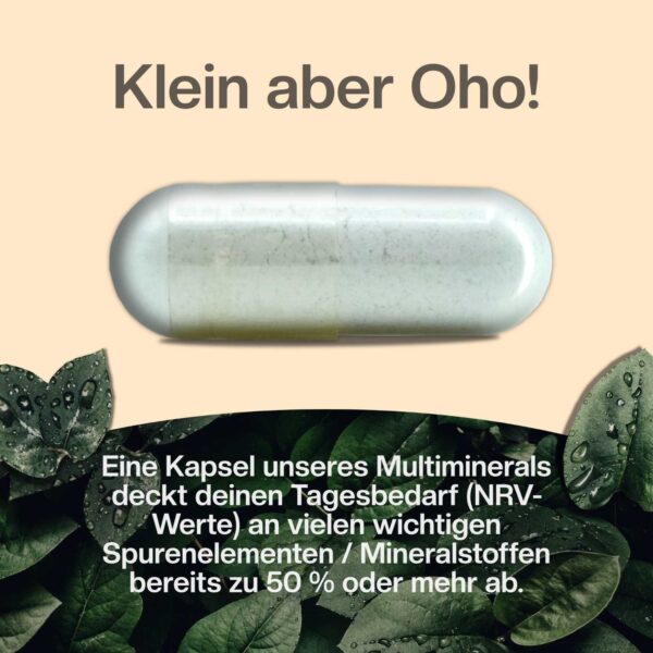 mineralstoff kapseln