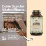 vitamine hochdosiert