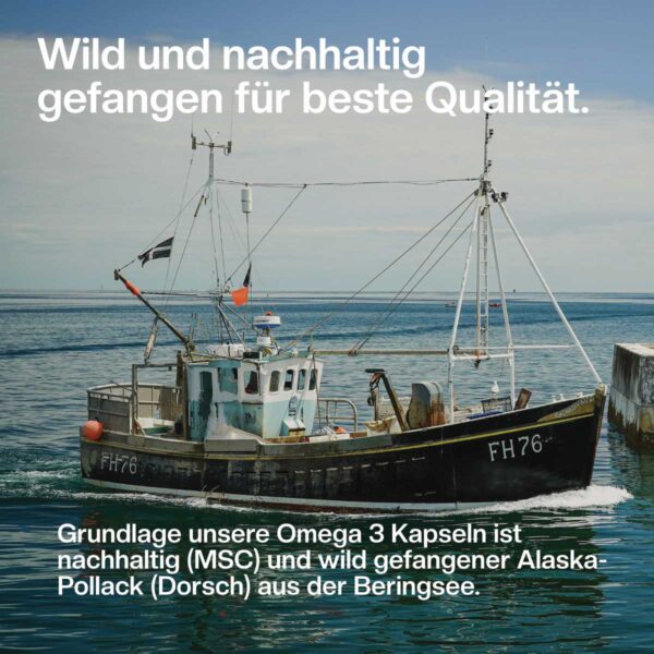 omega 3 msc nachhaltig