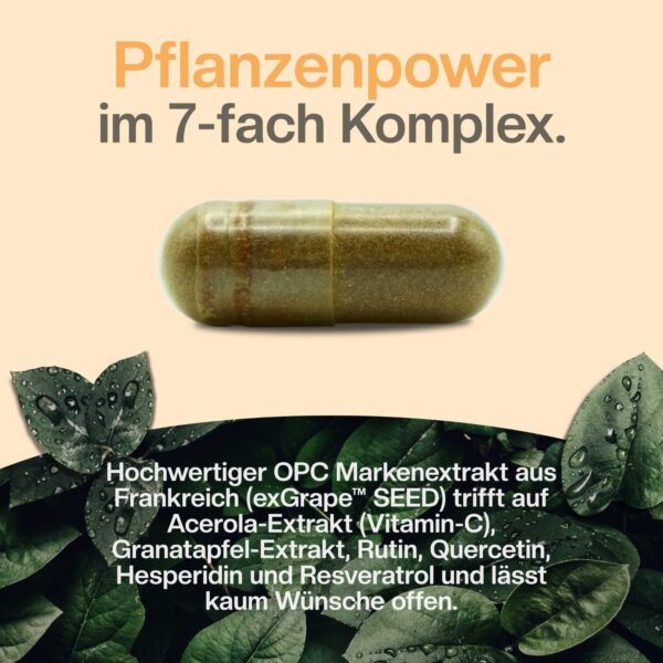 opc kapseln pflanzenextrakte