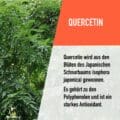 opc_kapseln_quercetin.jpg