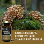 bio vitalpilz kapseln