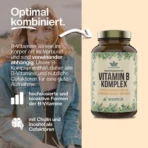 vitamin b kapseln hochdosiert