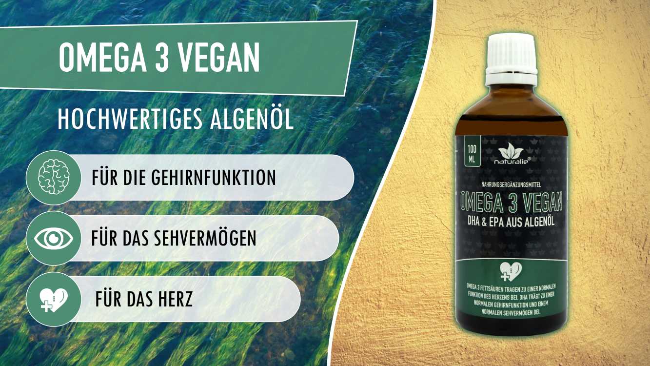omega 3 vegan youtube
