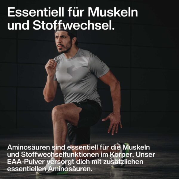 essentielle aminosäuren wirkung