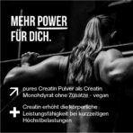 creatin monohydrat pulver vegan