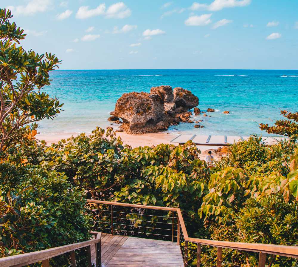 blue zone okinawa