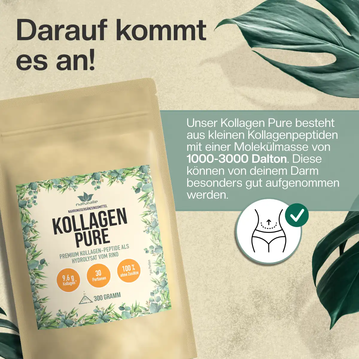 kollagen pulver hochdosiert